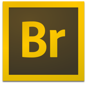 Atista Pirata Adobe Bridge CS6 Icon